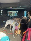 * Franchesca -- PENDING - Photo 6