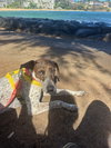 * Franchesca -- PENDING - Photo 3