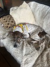 * Franchesca -- PENDING - Photo 4