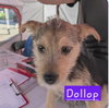 Tiny - Photo 7