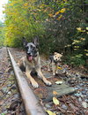 Tiny - Photo 4