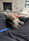 Tiny - Photo 5