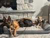 Tiny - Photo 6