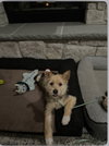 Tiny - Photo 8