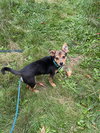 Smidget - Photo 11