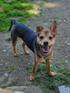Sage - Photo 1