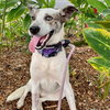 Daisy - Photo 3