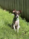 Luke - Photo 8