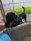 Zander - Photo 13