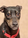 Zander - Photo 9