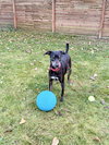 Zander - Photo 4