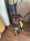 Zander - Photo 2