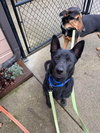 Moses - Photo 2