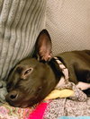 * Rea - PENDING - Photo 5