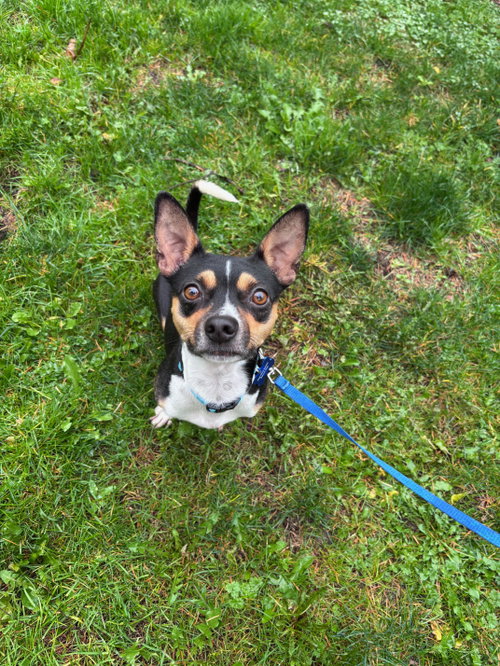 Hugo photo 4