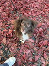 Noodle - Photo 4
