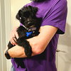 Elvis - Photo 6