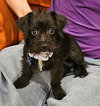 Elvis - Photo 7