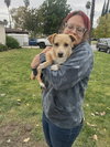 Timmy - Photo 1