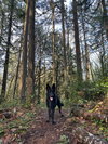 Reese - Photo 9