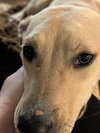 Nanny - Photo 5