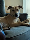 Nanny - Photo 2