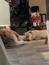 Nanny - Photo 3