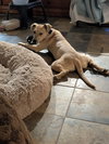Nanny - Photo 7