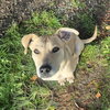 Billy - Photo 1