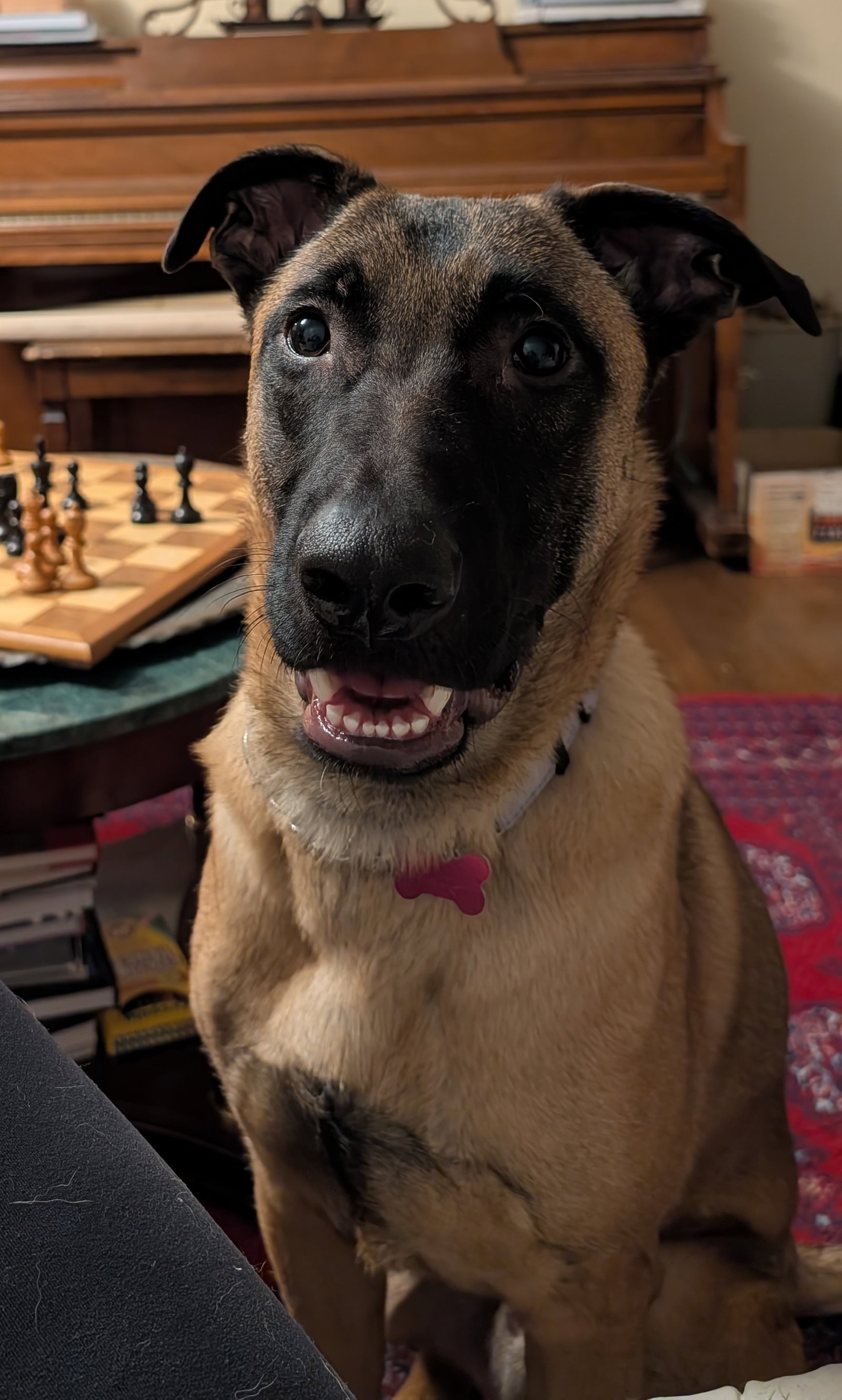 Waffles Image