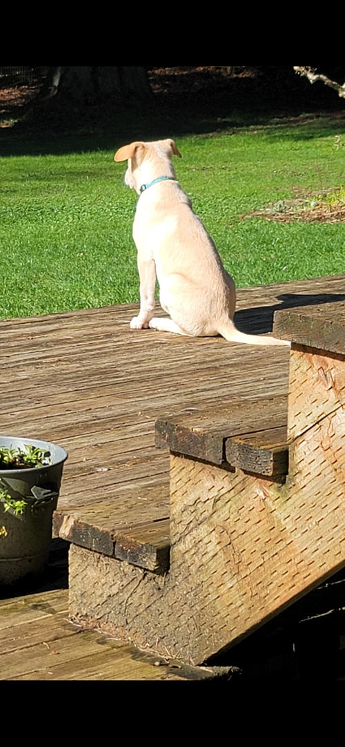 Max photo 6