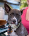 Hazel - Photo 6