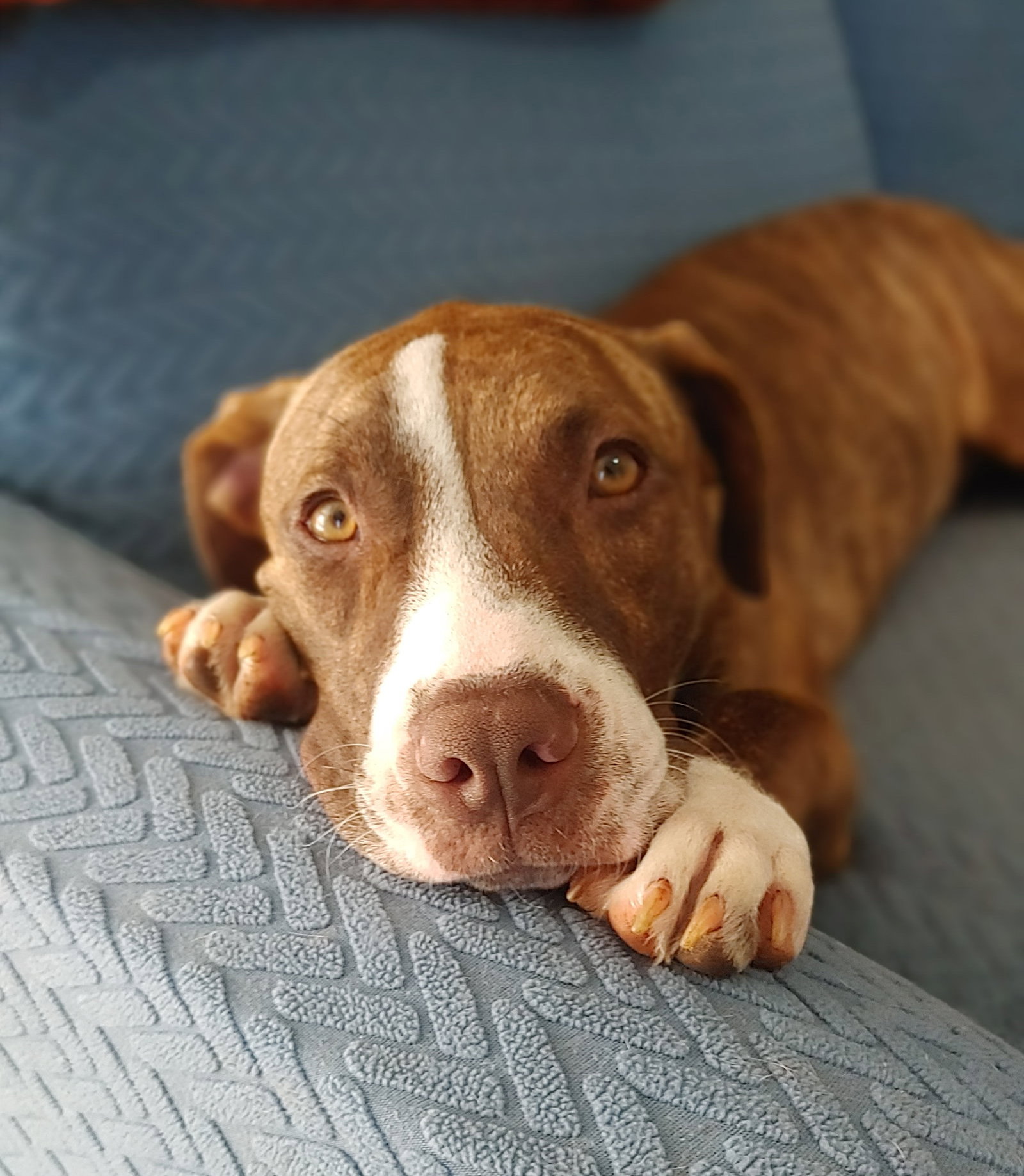 Kiki, photo 13