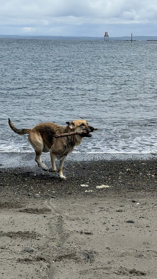 Zoey photo 1