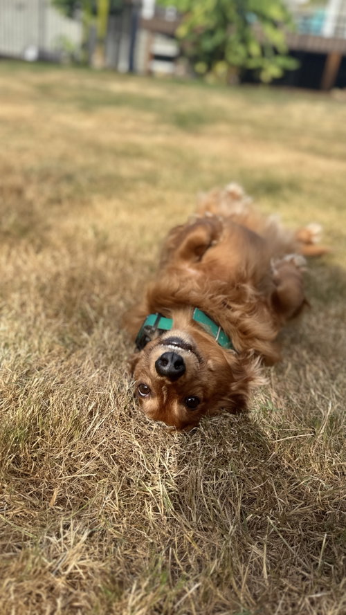 Oscar photo 4