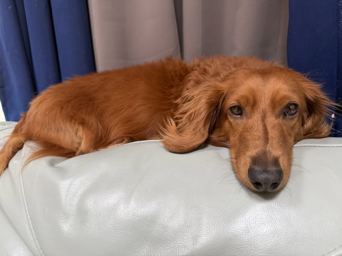 Oscar photo 3