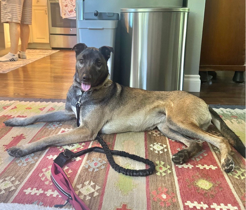 Ella
