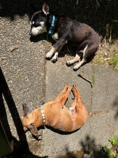 Skeeter photo 2