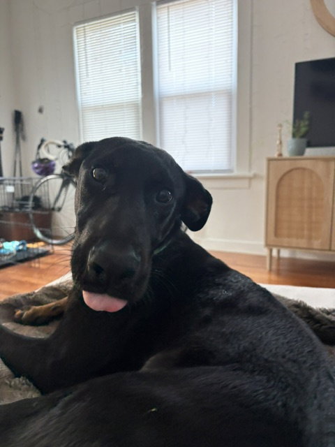 Edison