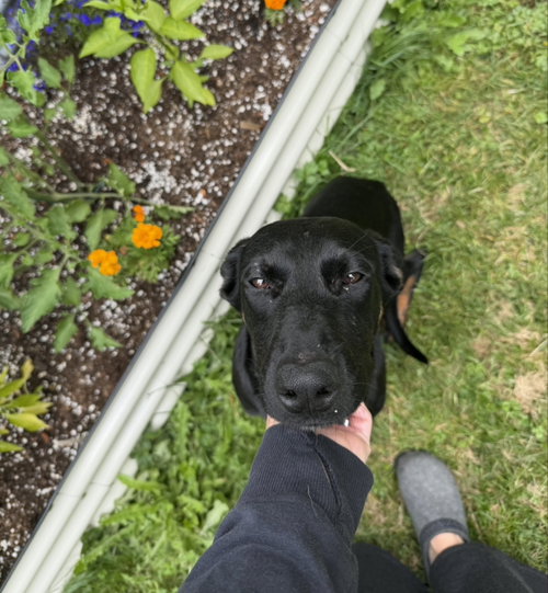 Matilda photo 3