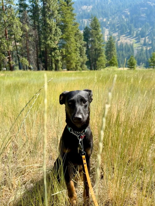 Matilda photo 4