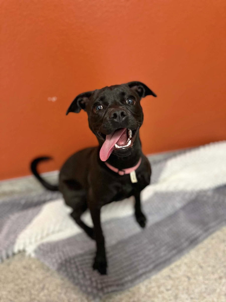 Paige
