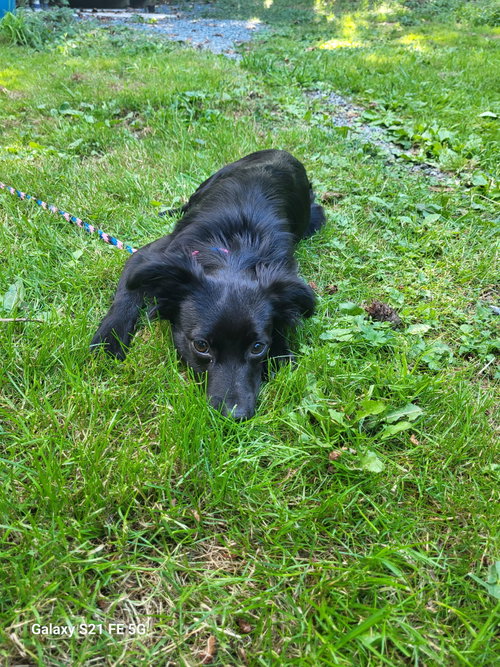 Easton photo 3