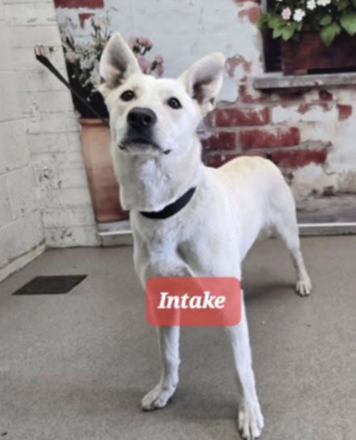Elsa photo 5