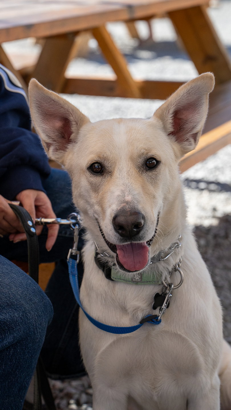 Elsa, photo 11