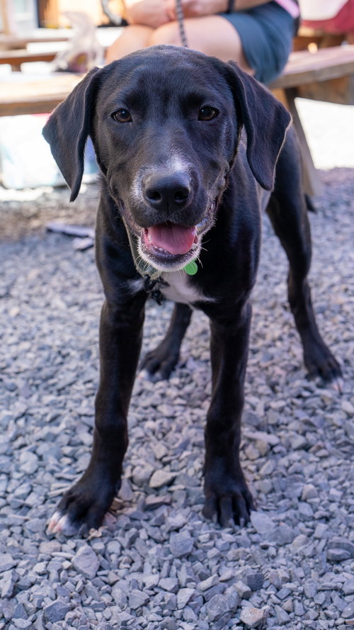 Photo 4 of Otis