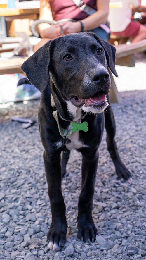 Photo 5 of Otis