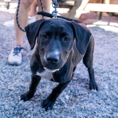 Photo 6 of Otis
