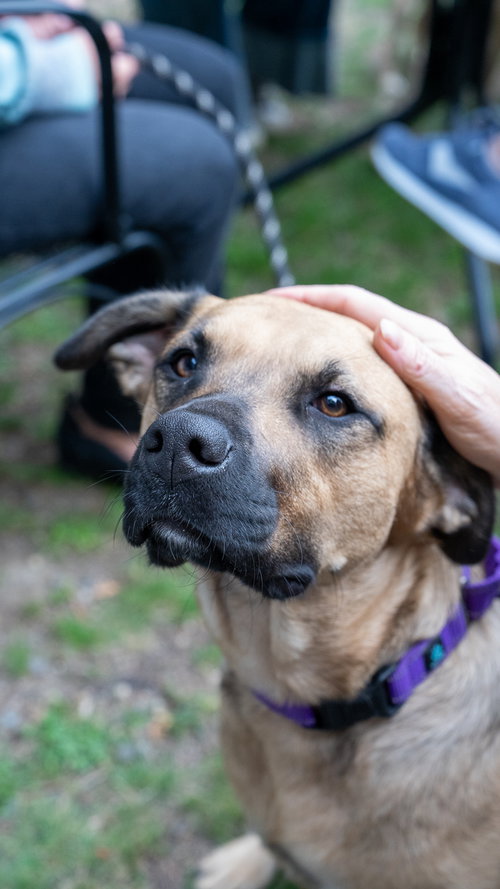 Photo 5 of Mara