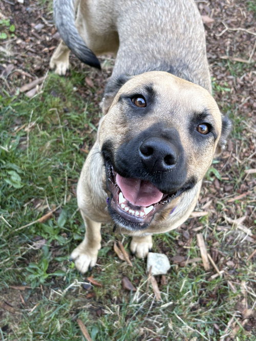 Photo 2 of Mara